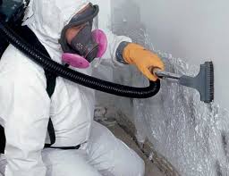 North Haledon, NJ Mold Removal & Remediation Company